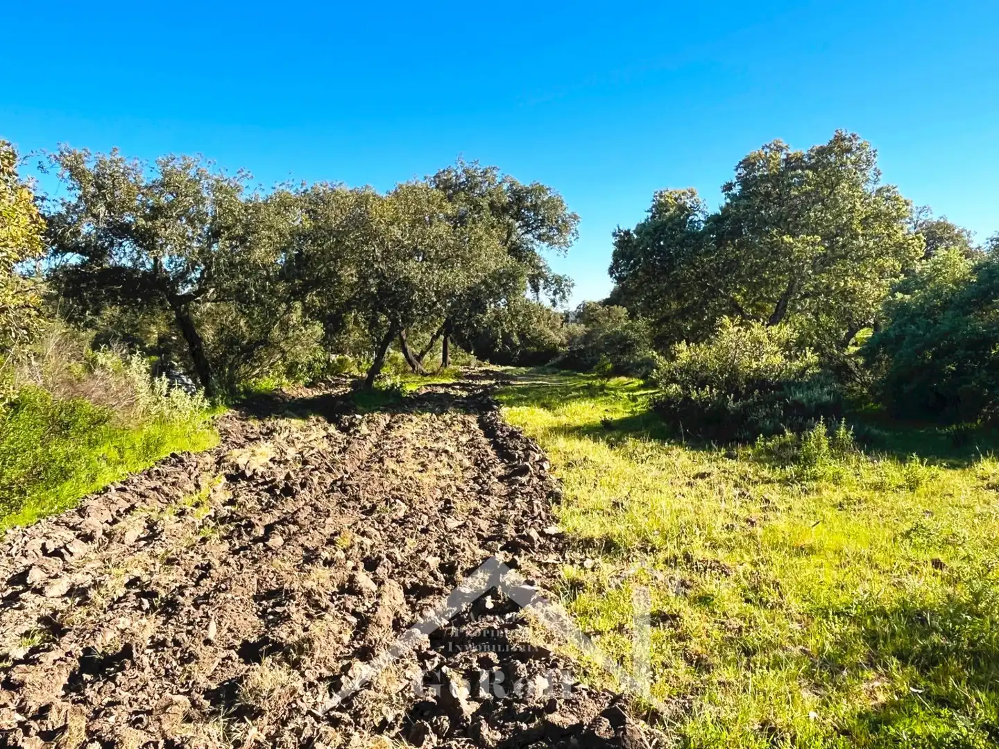 Terreni e lotti in vendita a Castilblanco de los Arroyos, imagen 34