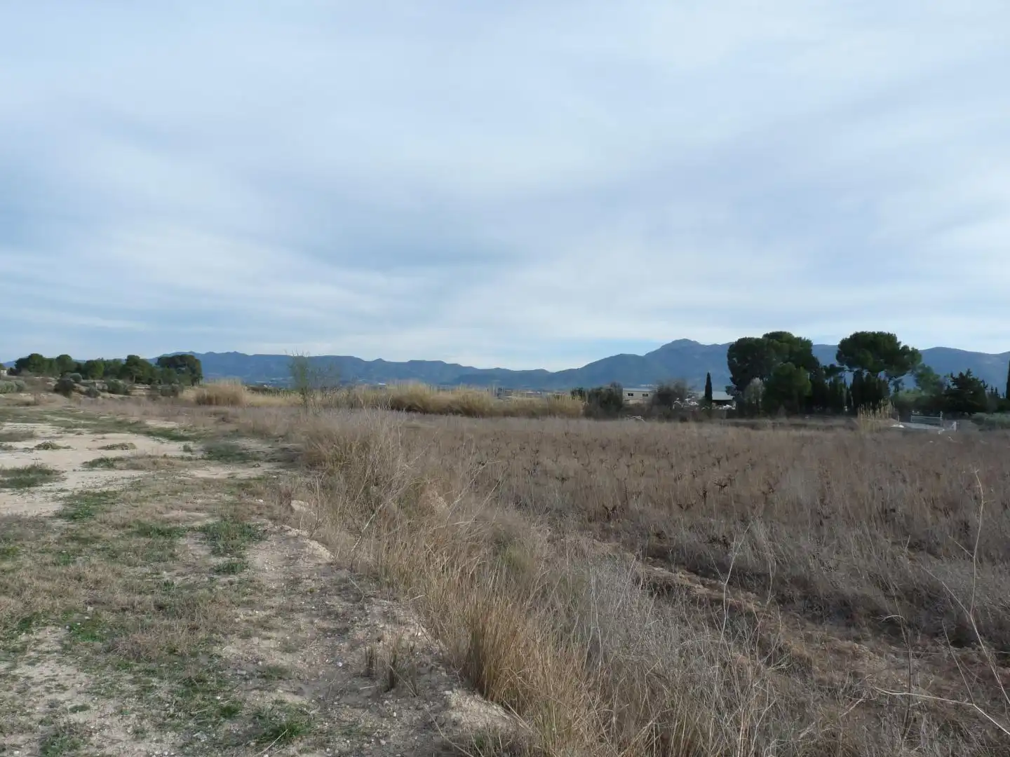 Land for sale in Benissuera