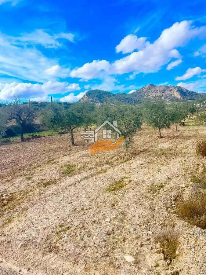 Residential land for sale in Vélez-Rubio, imagen 14