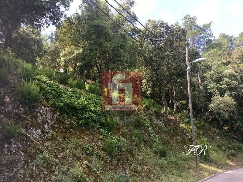 Terrenys i solars en venda a El Racó - Sant Feliu del Racó, imagen 29