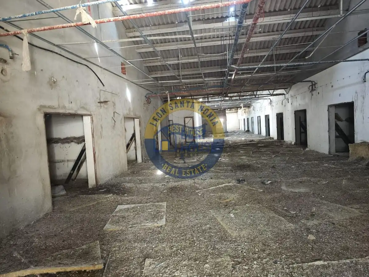 Nave industrielle à vendre à Riego de la Vega, imagen 2