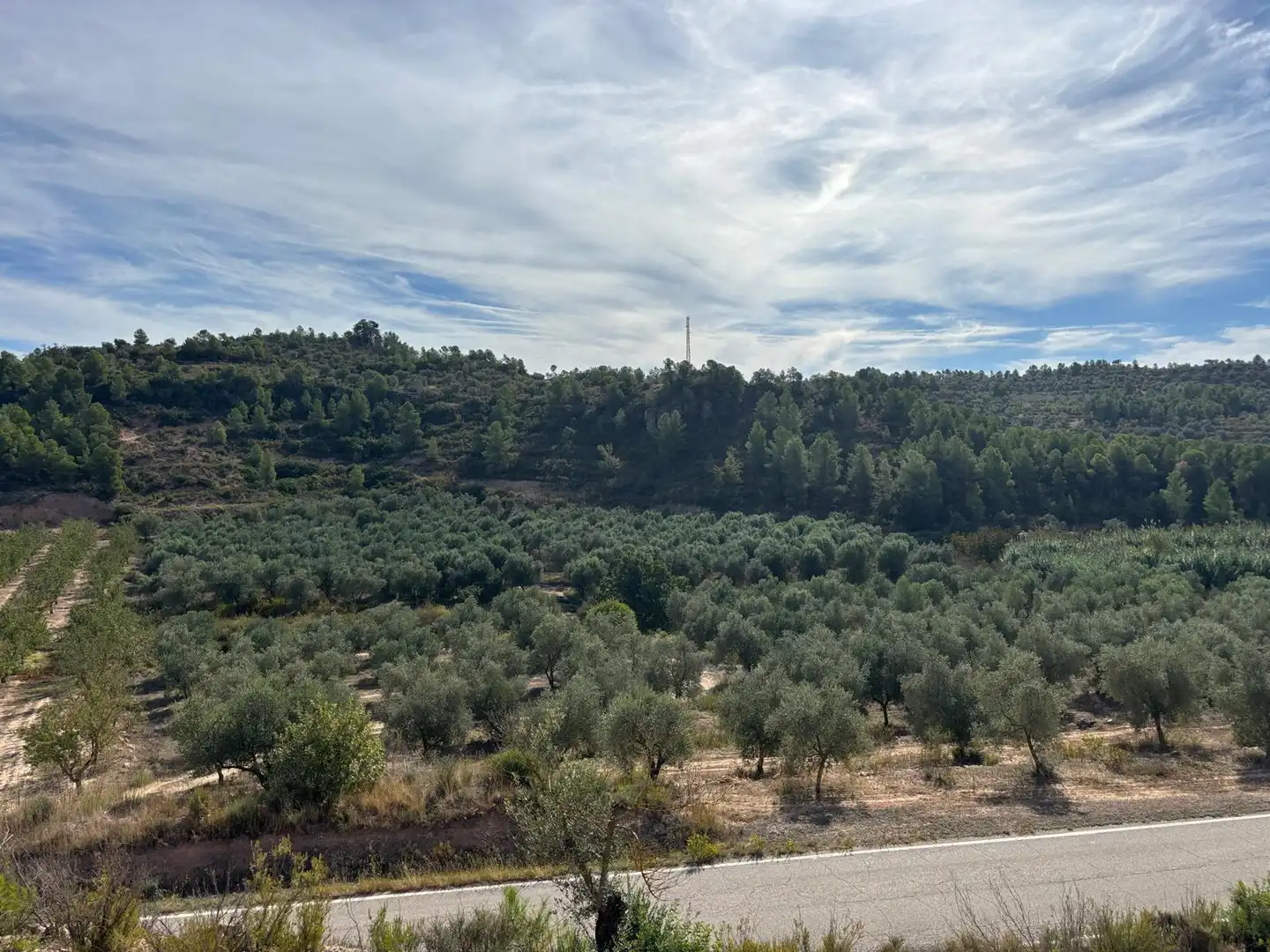Terreno rustico in vendita a Carrer Sola, imagen 11