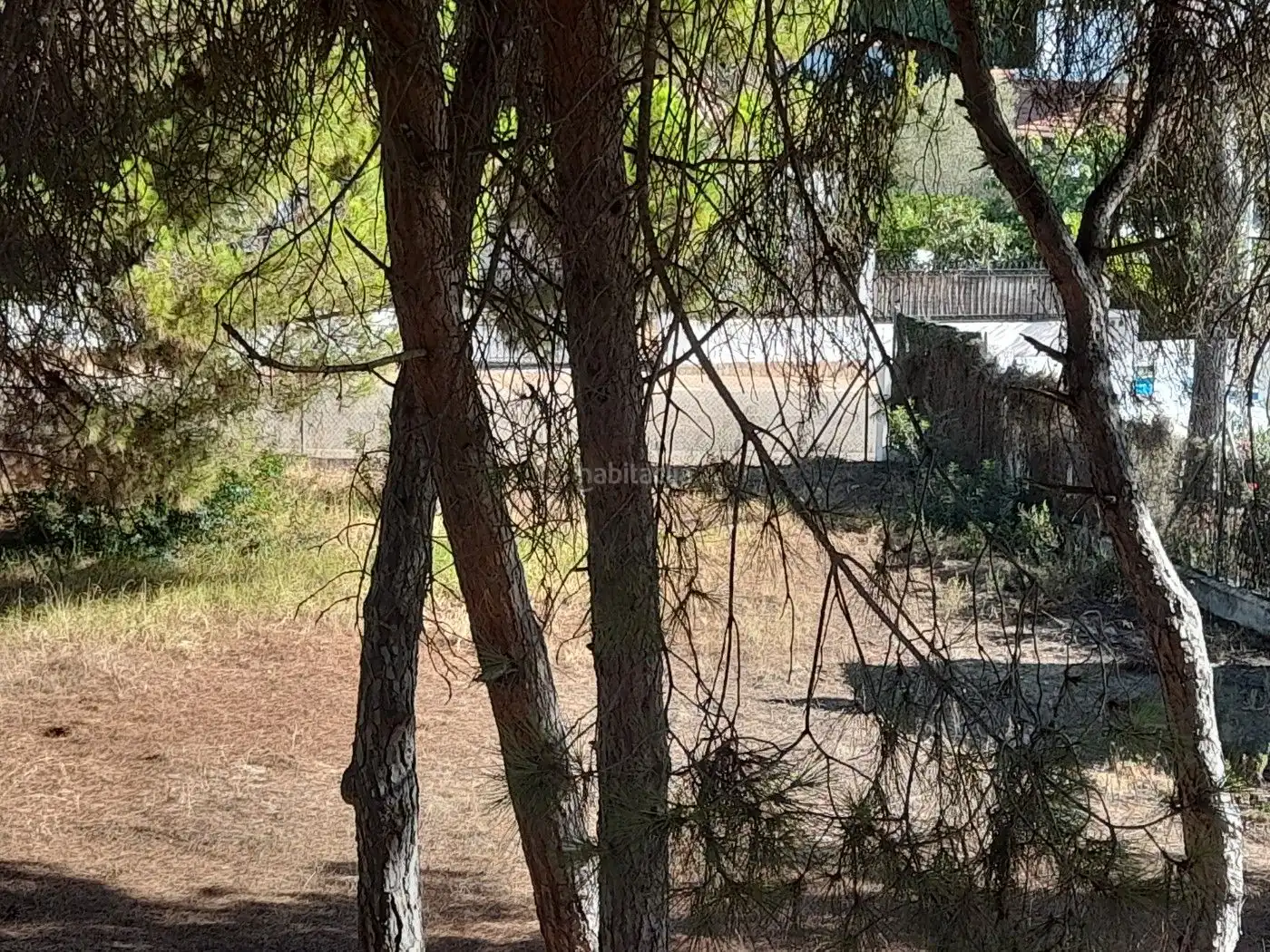 Terreny residencial en venda a Calle Díez de Solís 98