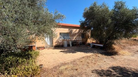 Foto 3 de Casa o xalet en venda a Polígono 10 Parcela 966 Torrecia. Piedrabuena, Piedrabuena, Ciudad Real