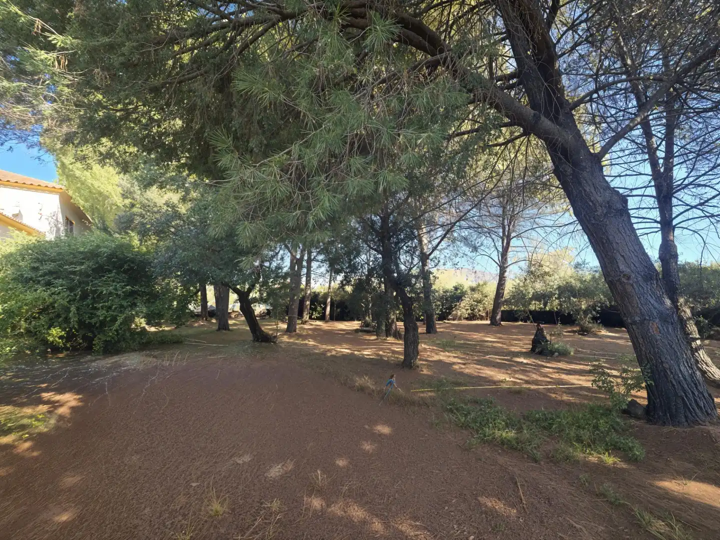 Casa o chalet en venta en Plasencia con Aire acondicionado, Calefacción y Jardín privado