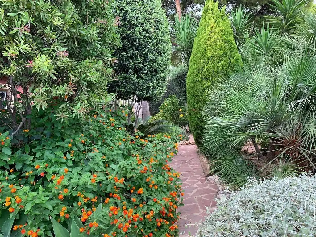 Casa o chalet en venta en carrer de falco, Mascarat