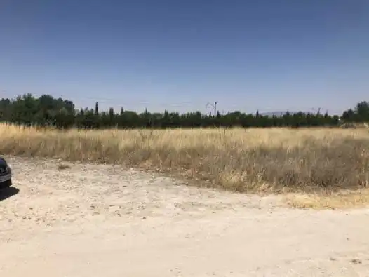 Terreno rústico en venta en PT Paraje Hilo del Rey, imagen 6