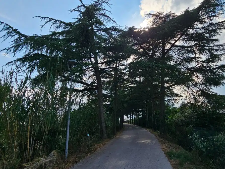 Casa rústica amb jardí en venda a Passeig Cosme I Damia 2, imagen 33