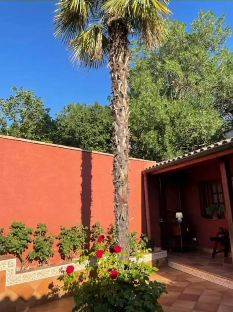 Villa mit Pool zum Verkauf in Avinguda Comte Jaume d'Urgell, imagen 3