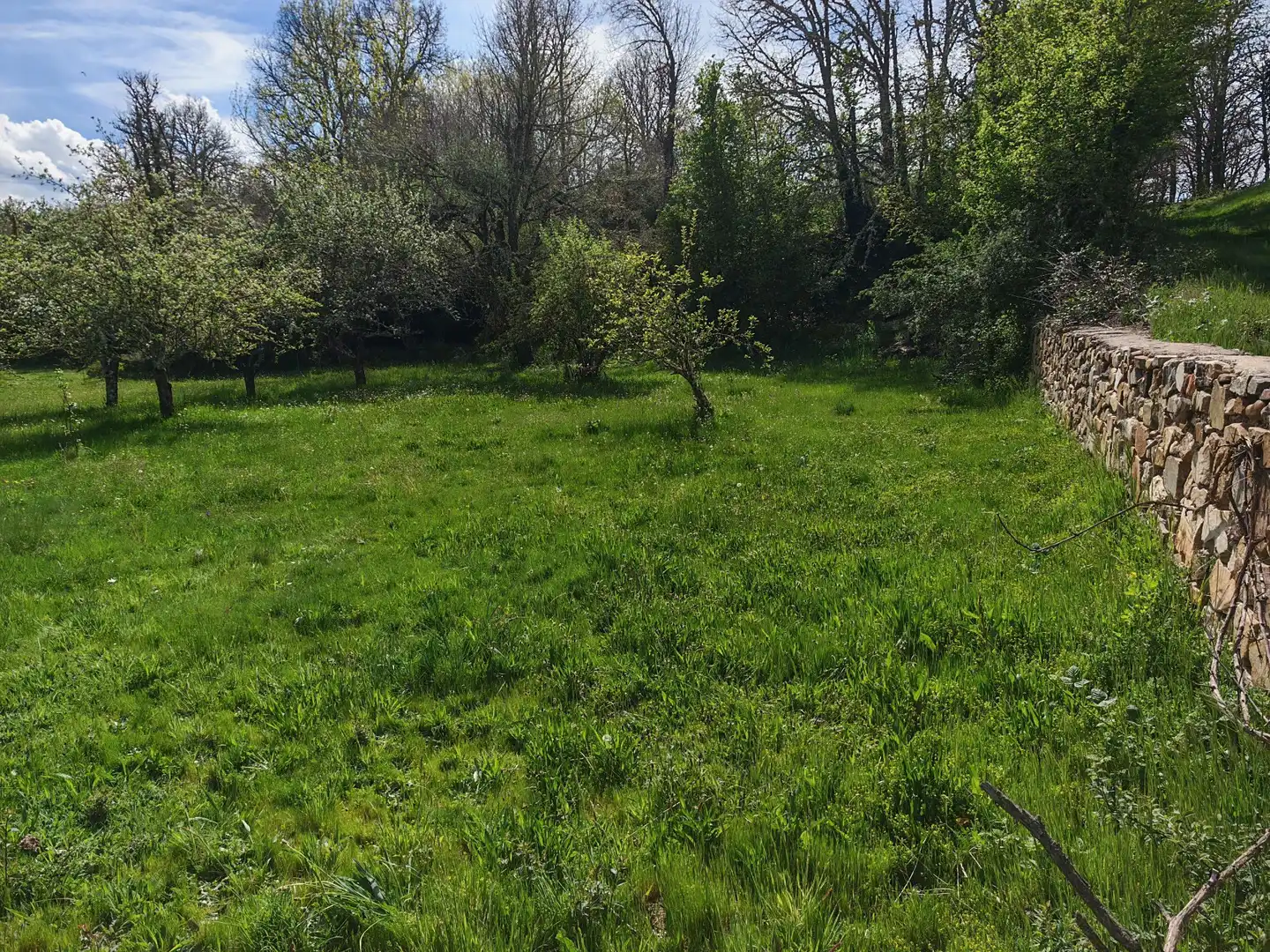 Residential for sale in Magaz de Cepeda
