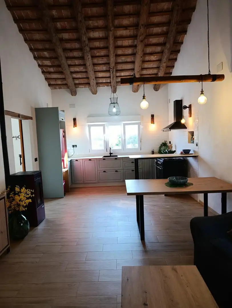 Cuina de Casa o xalet en venda en Deltebre amb Jardí privat i Terrassa