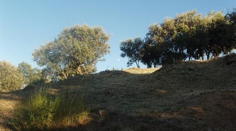 Foto 3 de Residencial en venda a Calle Calle del Pino, El Casar, Guadalajara