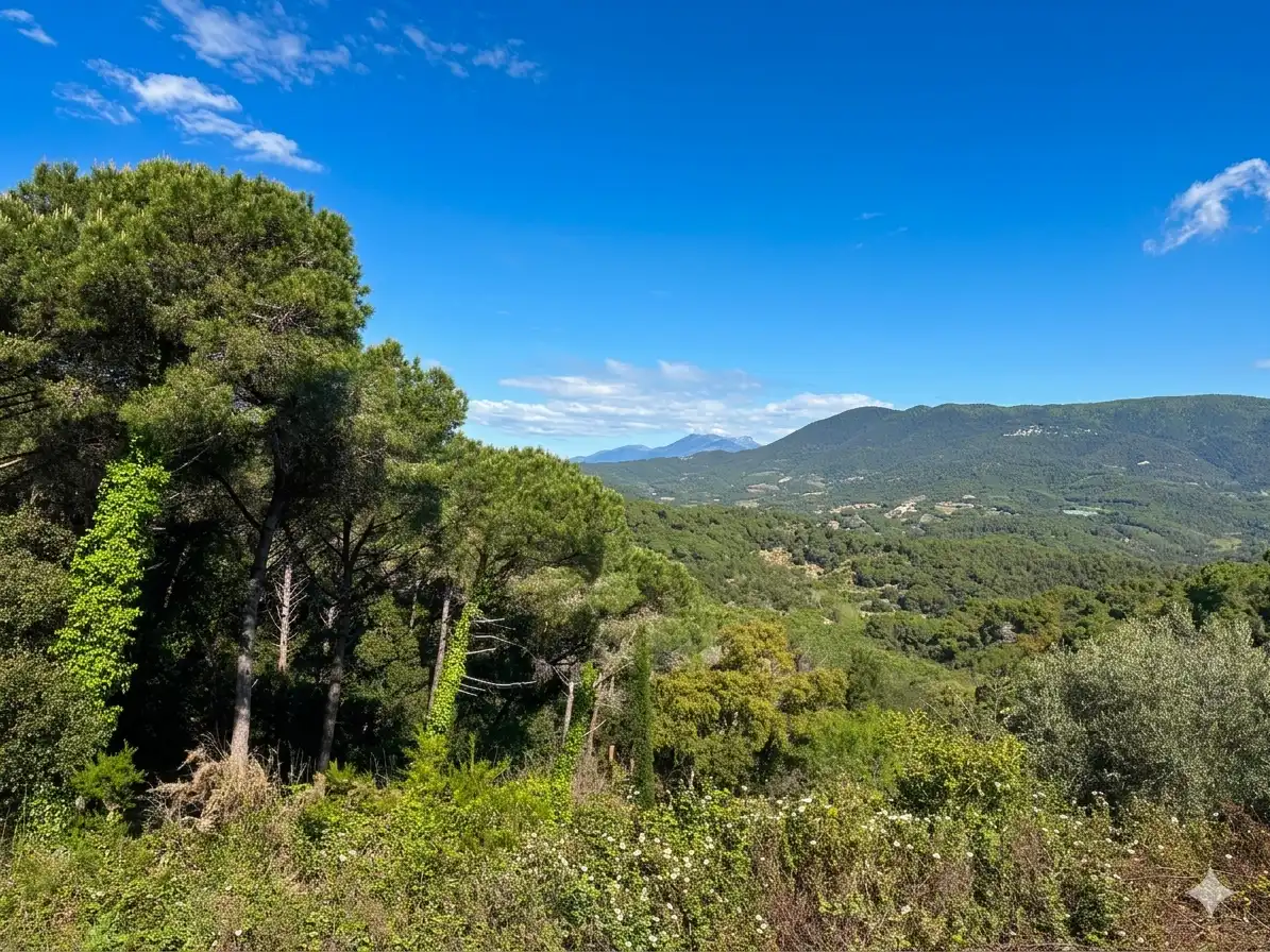 Maison avec jardin à vendre à Carrer Camí de Pedracastell, imagen 3