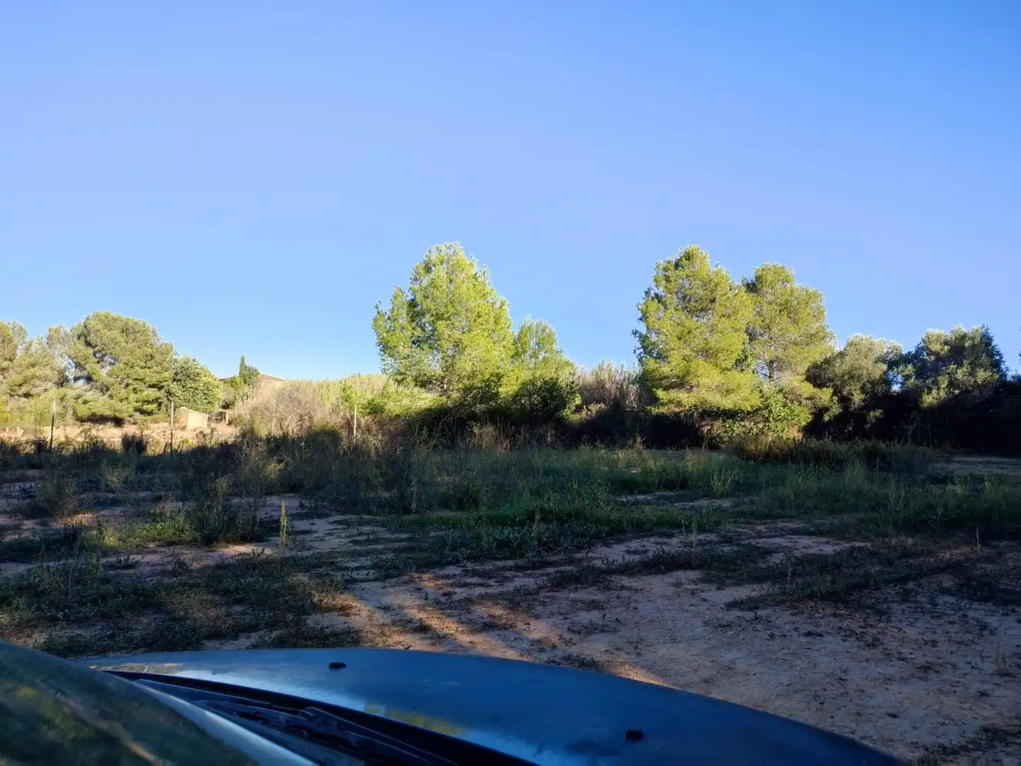 Rural land to rent in Los Felipes - Corral de Carmelo, imagen 8