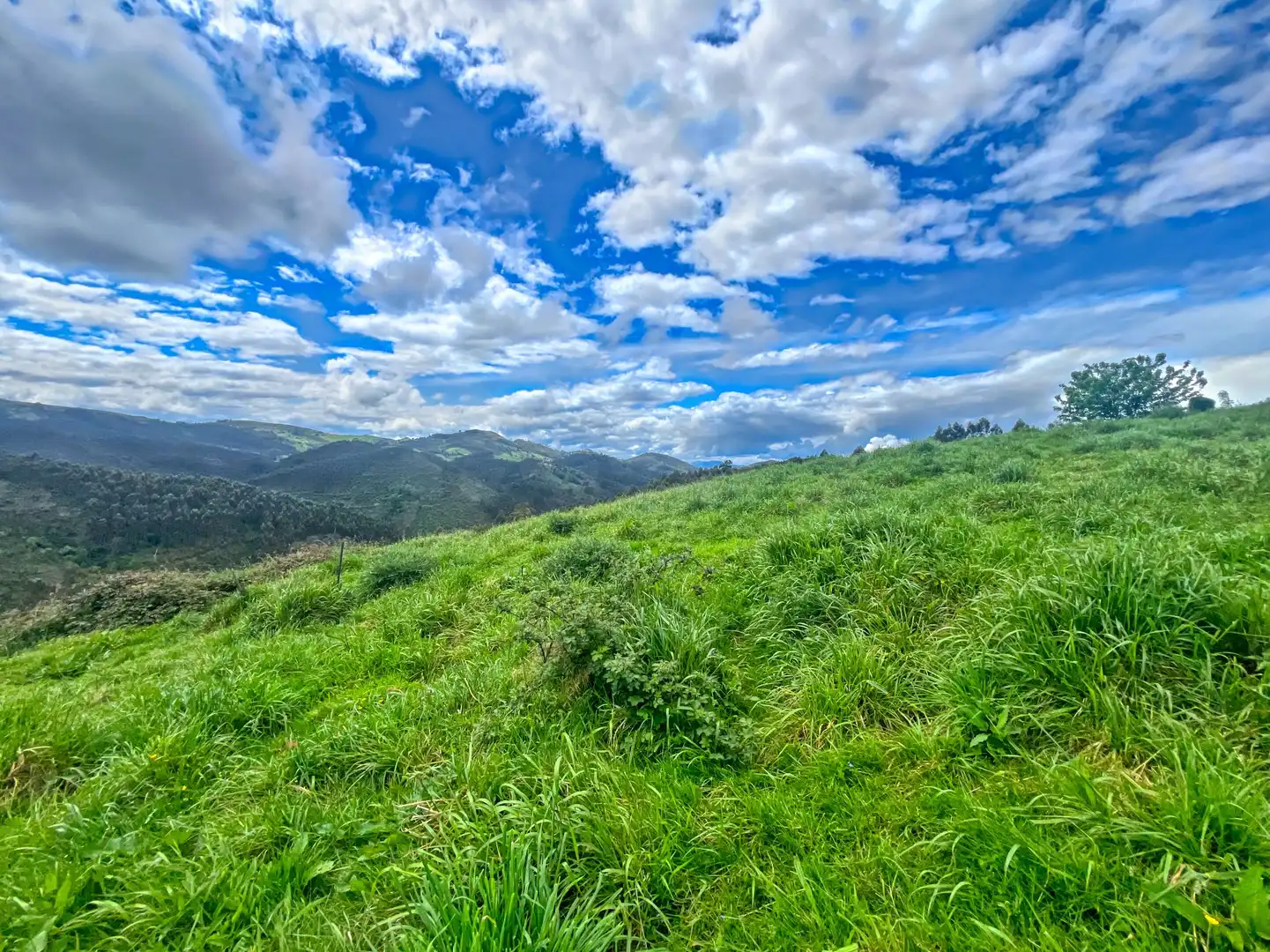 Lands and plots for sale in Pillarno, imagen 11