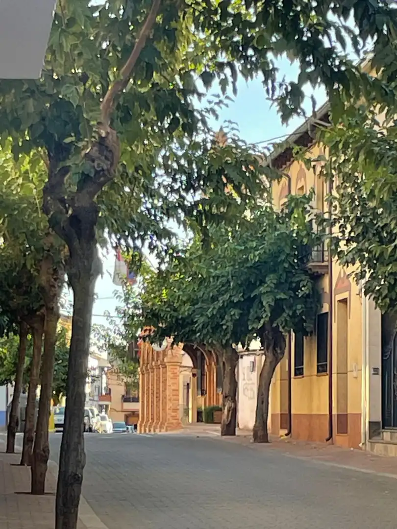 Vista exterior de Casa o chalet en venta en Villanueva de la Fuente con Jardín privado y Trastero
