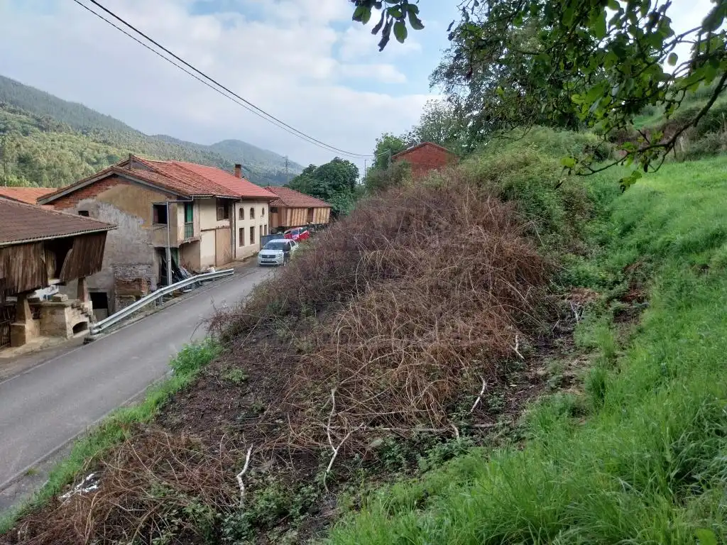 Terreny residencial en venda a AS-237 2, imagen 2