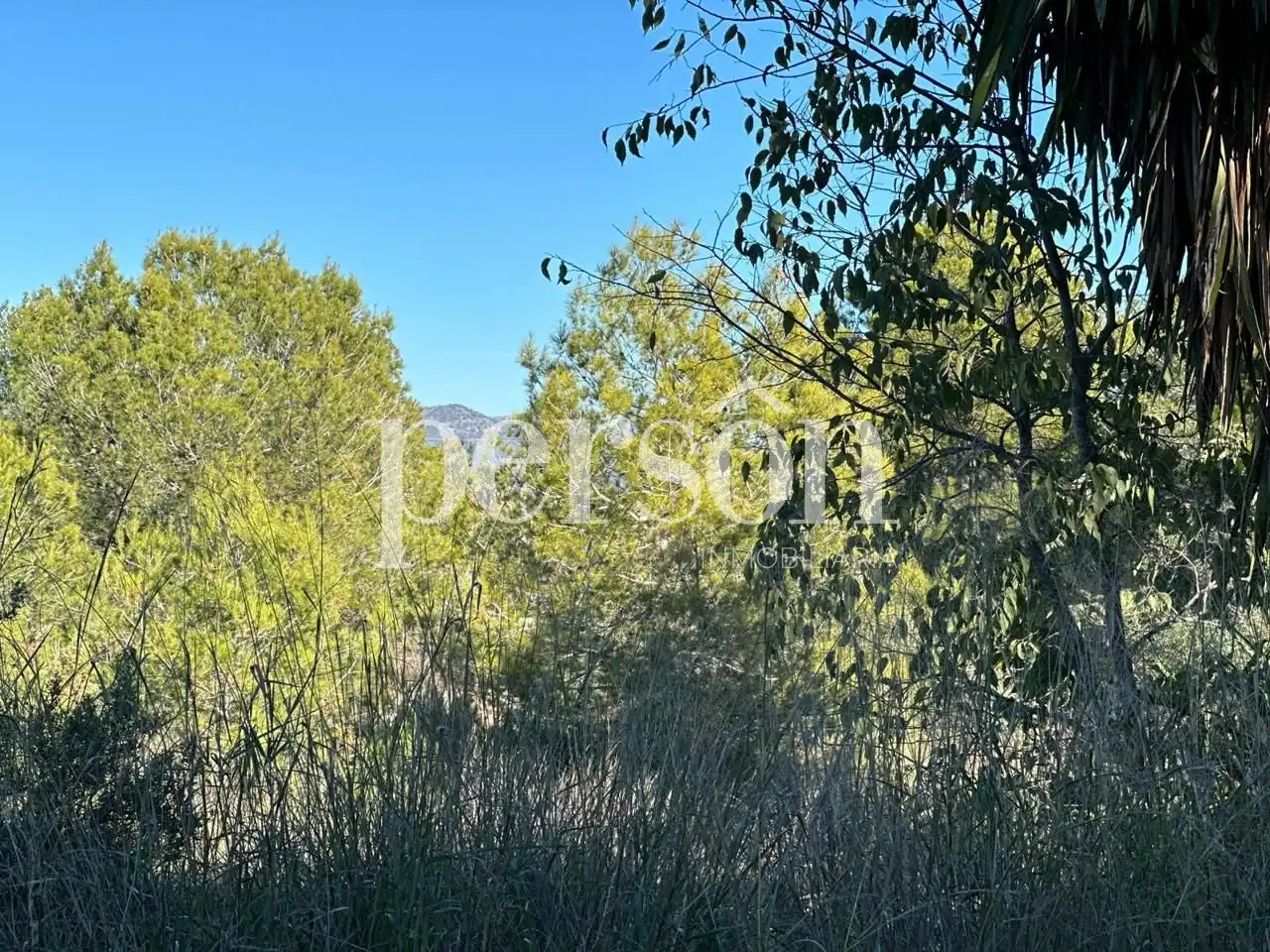 Terreno residenziale in vendita a La Conarda - Montesano, imagen 2