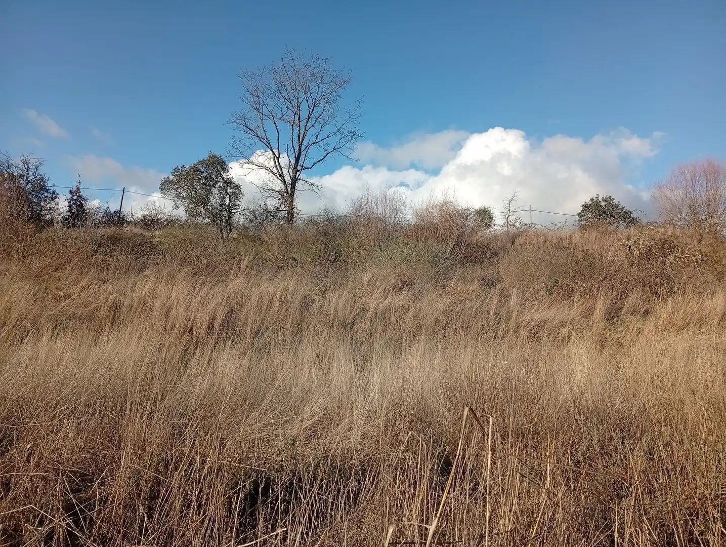 Land for sale in Losar de la Vera