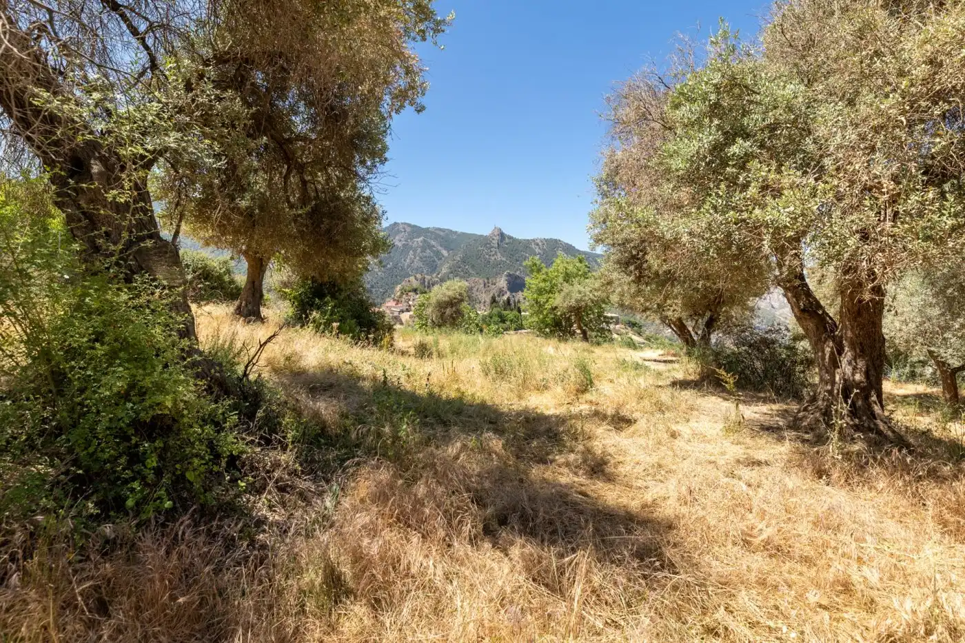 Lands and plots for sale in Calle FUENTE 16 CAÑOS, imagen 20