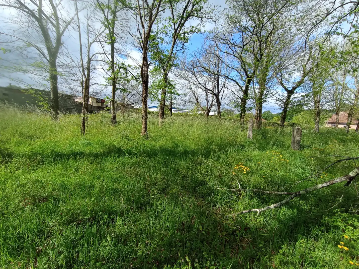 Terreno residencial en venta en Ponteareas, imagen 8