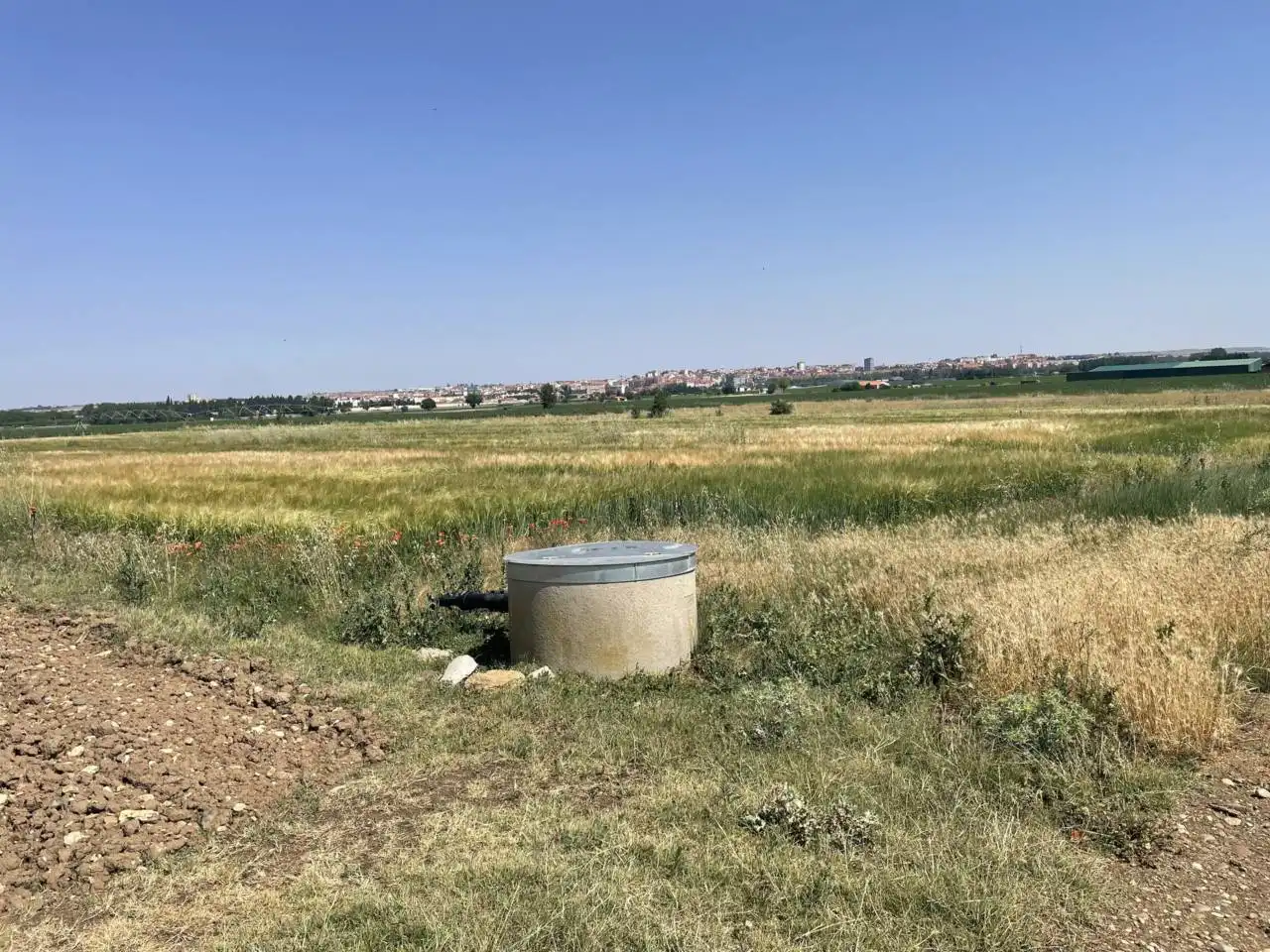 Terreni e lotti in vendita a Pinilla