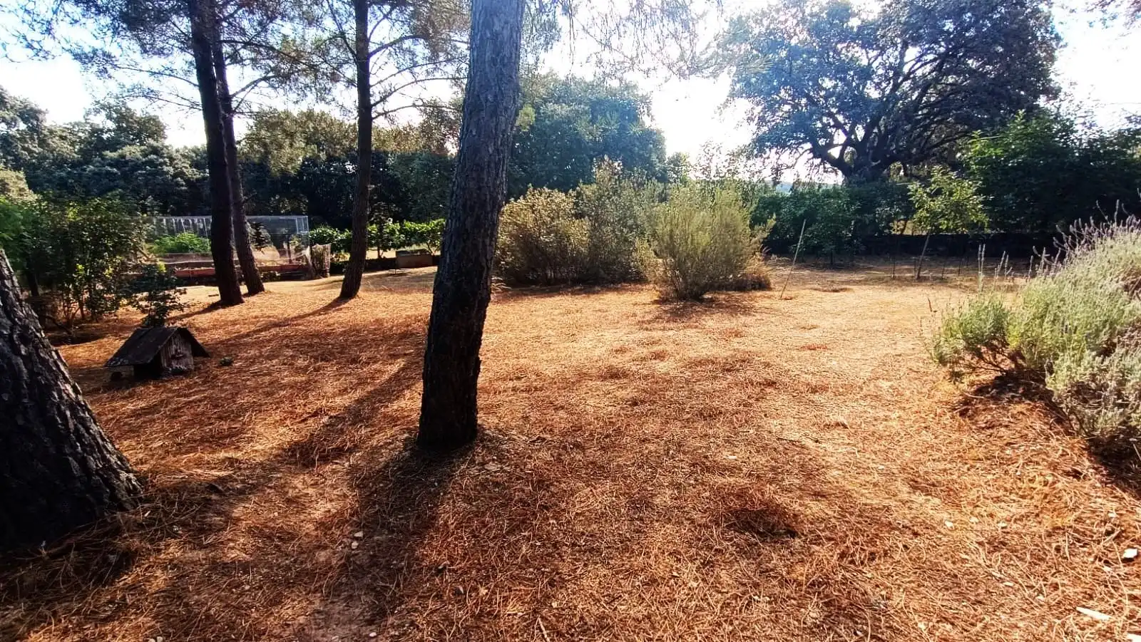 Casa o xalet en venda en Palacios del Pan amb Calefacció, Jardí privat i Terrassa