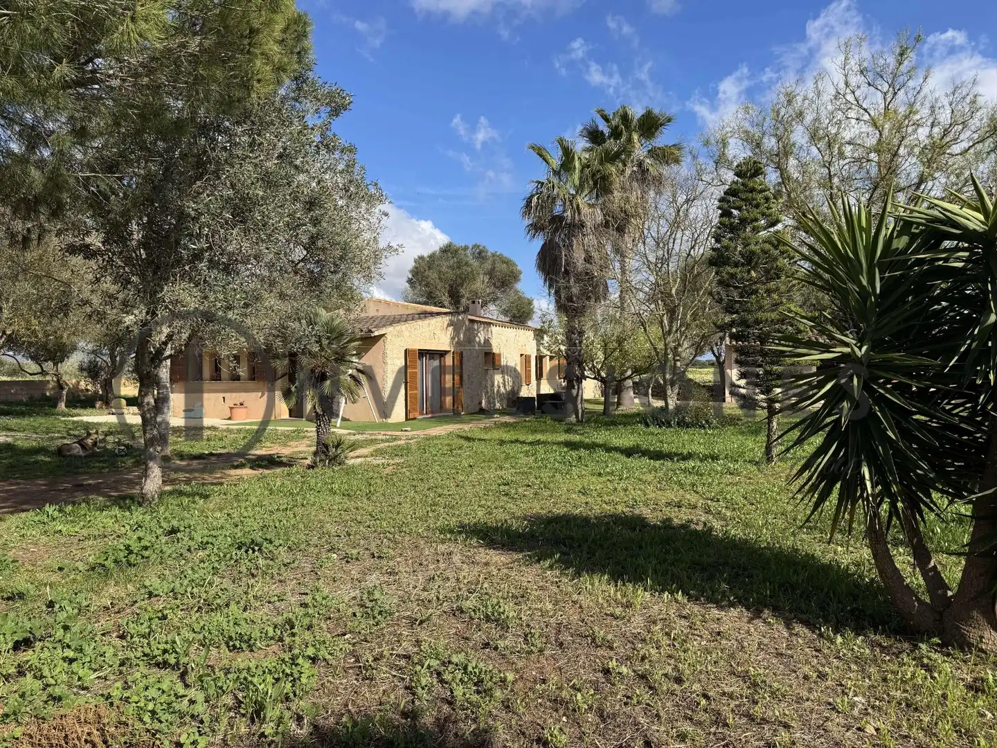 Casa rústica con jardín en venta en Son Munda, imagen 37