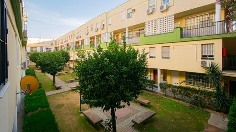 Foto 2 de Piso en venta en Calle Estrella Polar, Pino Montano - Consolación, Sevilla