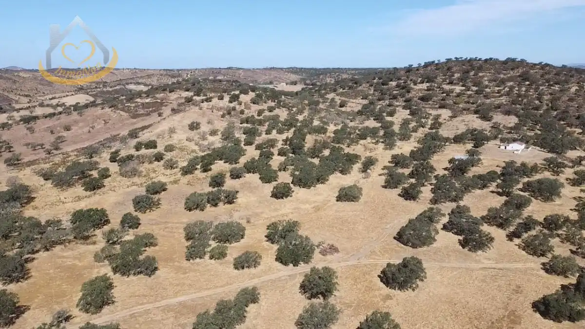 Terreni e lotti in vendita a Puebla de Guzmán, imagen 15
