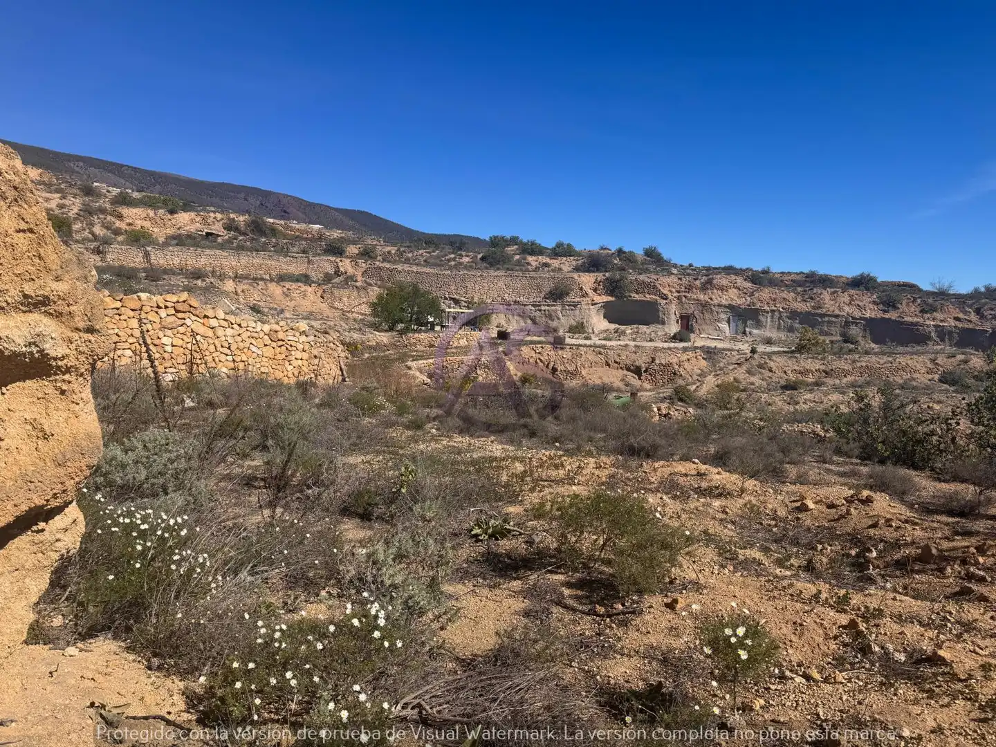 Terreno en venta en Calle Pino Gordo, Fasnia