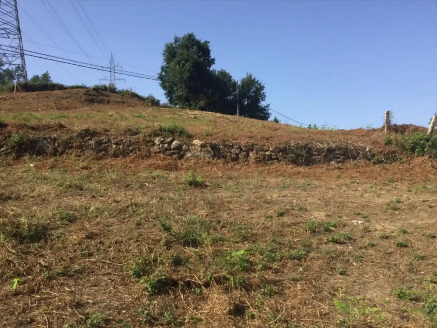 Finca rústica en venda en Castrelo de Miño amb Traster