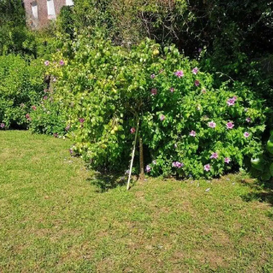 Villa mit Garten zum Verkauf in do Loureiro, imagen 13