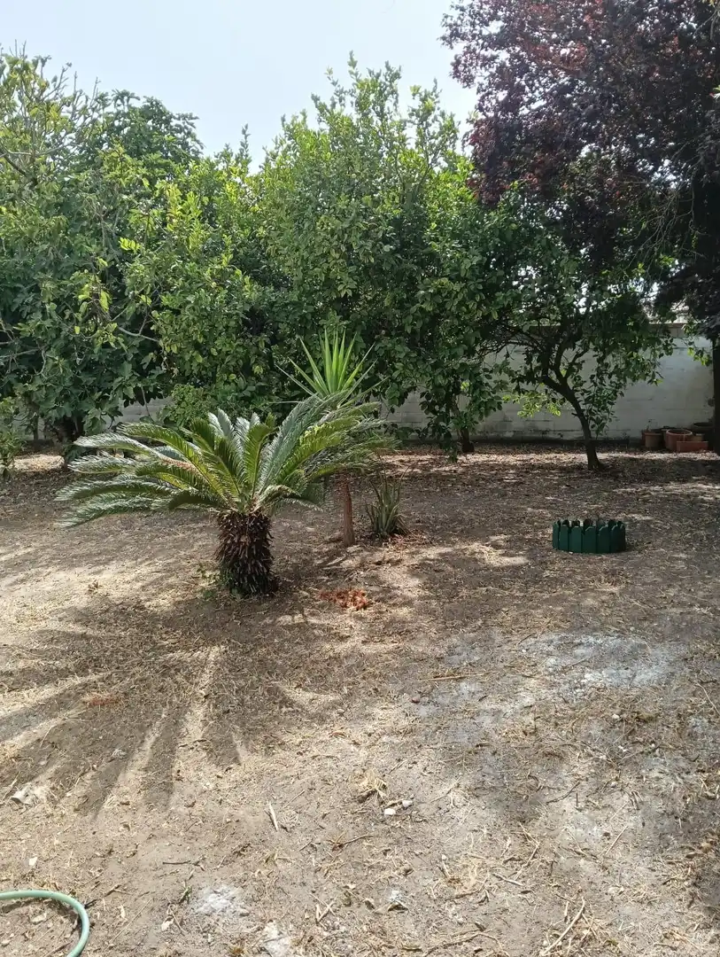 Detached house with garden for sale in Barrio Nuevo, imagen 8