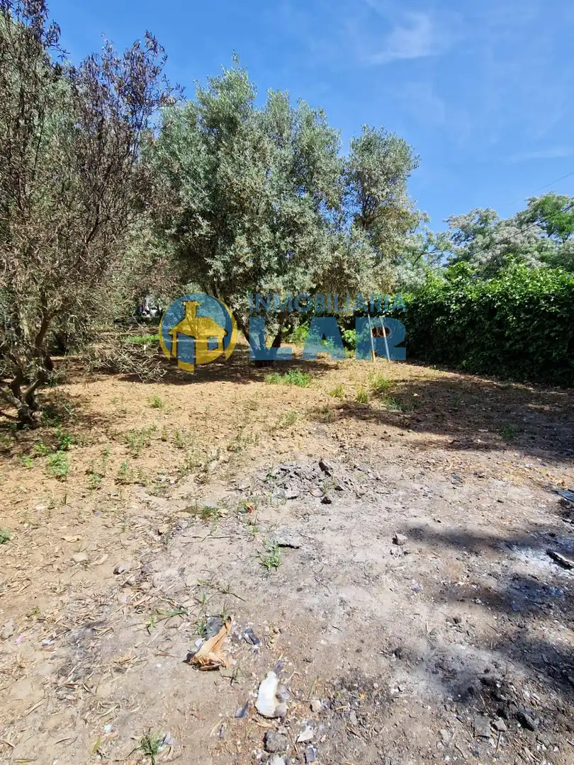 Casa o chalet en venta en Trigueros