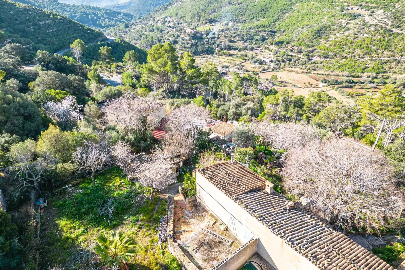 Casa con jardín en venta en Andratx pueblo, imagen 8
