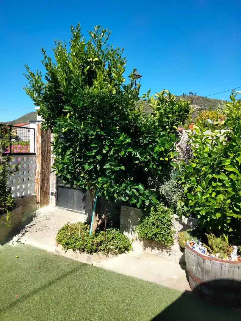 Jardín de Casa o chalet en venta en Monterrei con Jardín privado, Trastero y Piscina