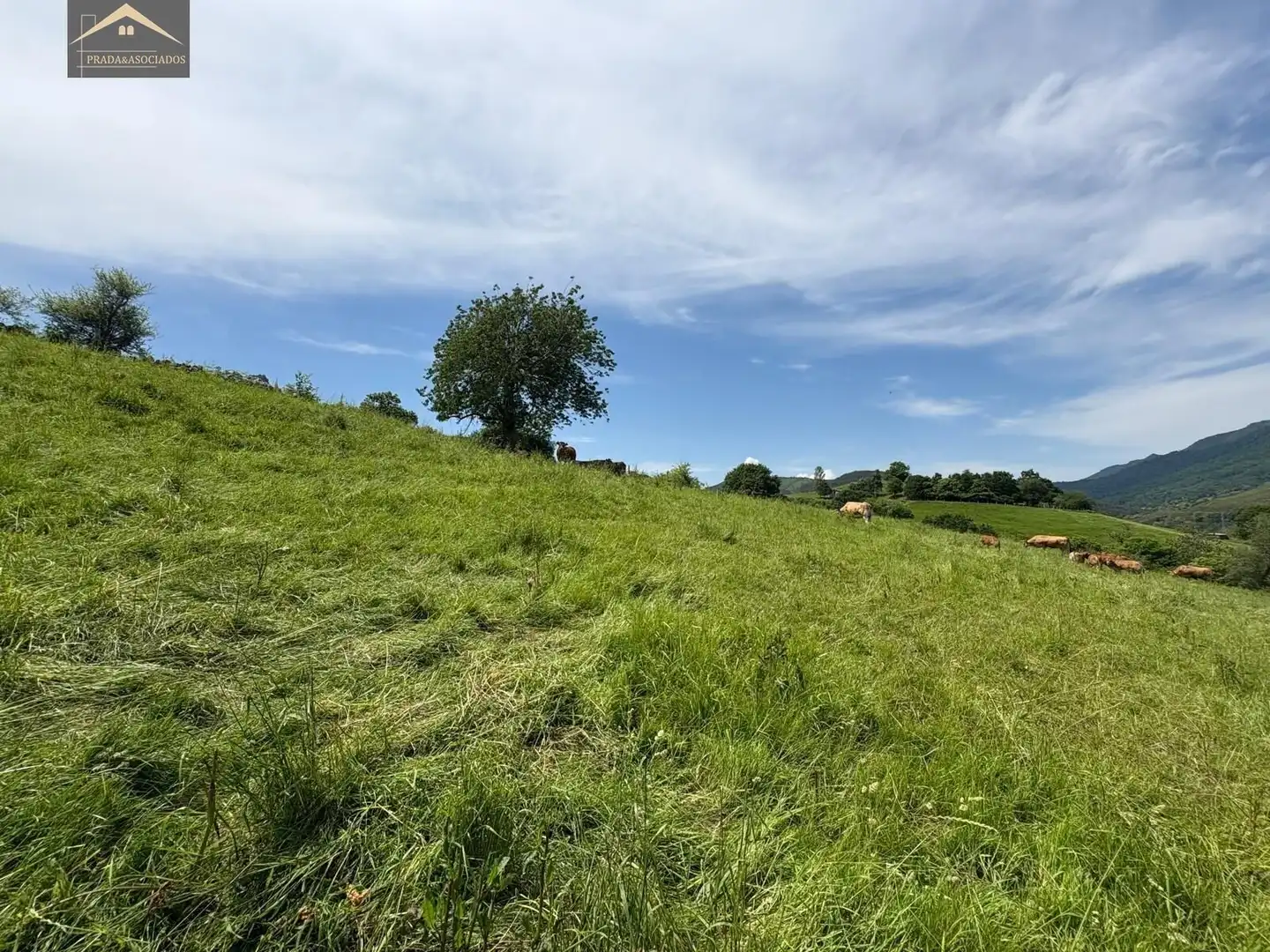 Residencial en venda en Ruente