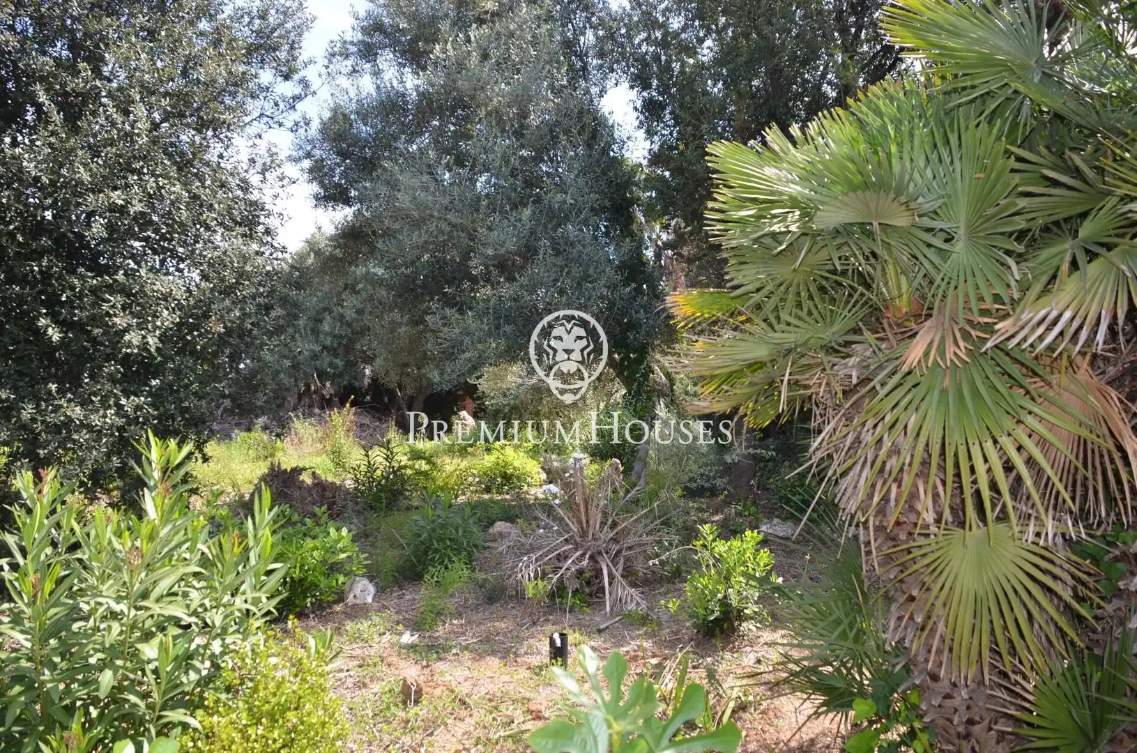 Terreno residenziale in vendita a Masnou Alt, imagen 10