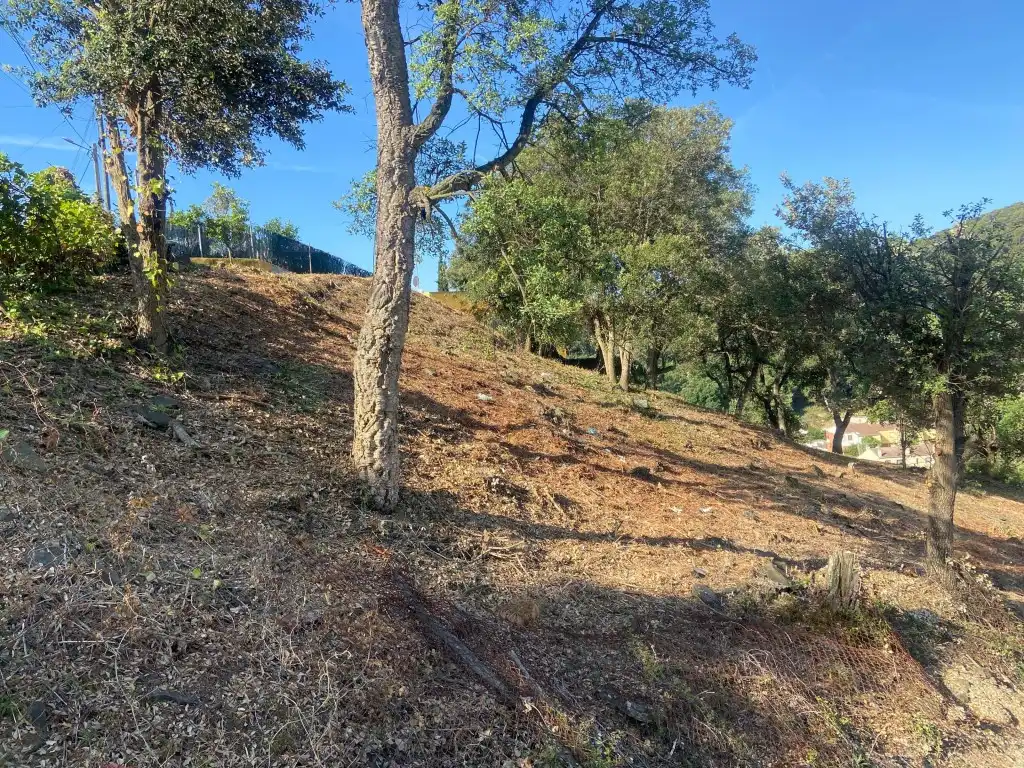 Residential land for sale in Calle Ginesta, imagen 4