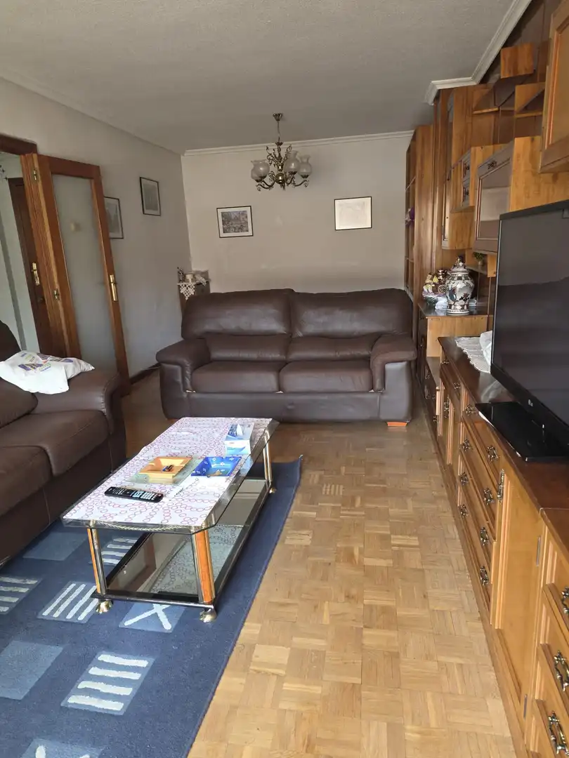 Living room of Flat for sale in Salamanca  with Heating, Parquet flooring and Balcony