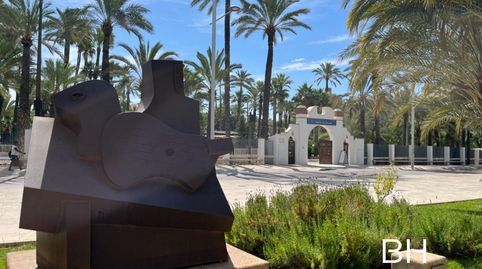 Photo 5 of Ground floor for sale in Centro, Elche / Elx