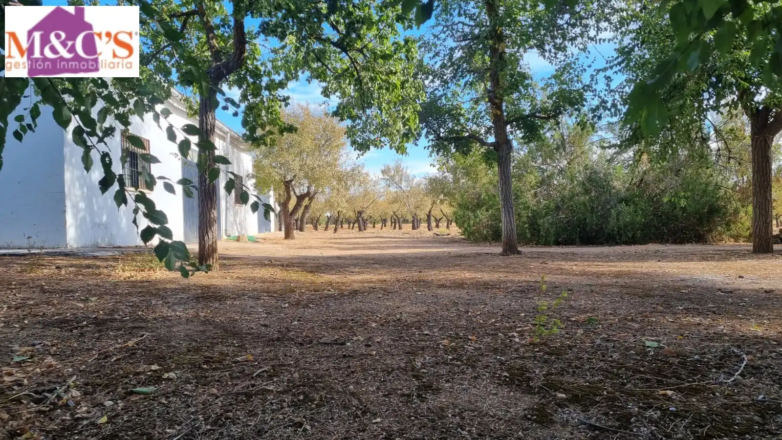 Chalet con terraza en venta en Almodóvar del Campo, imagen 32