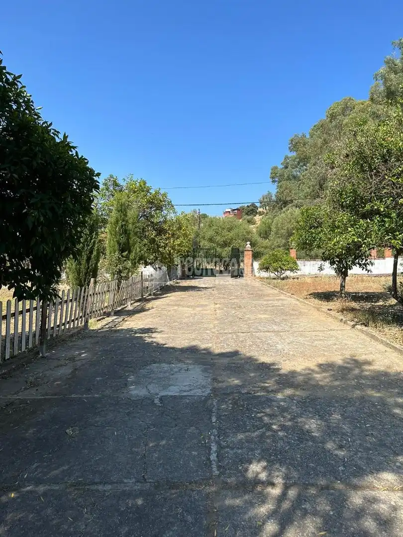 Flat for sale in Alcolea