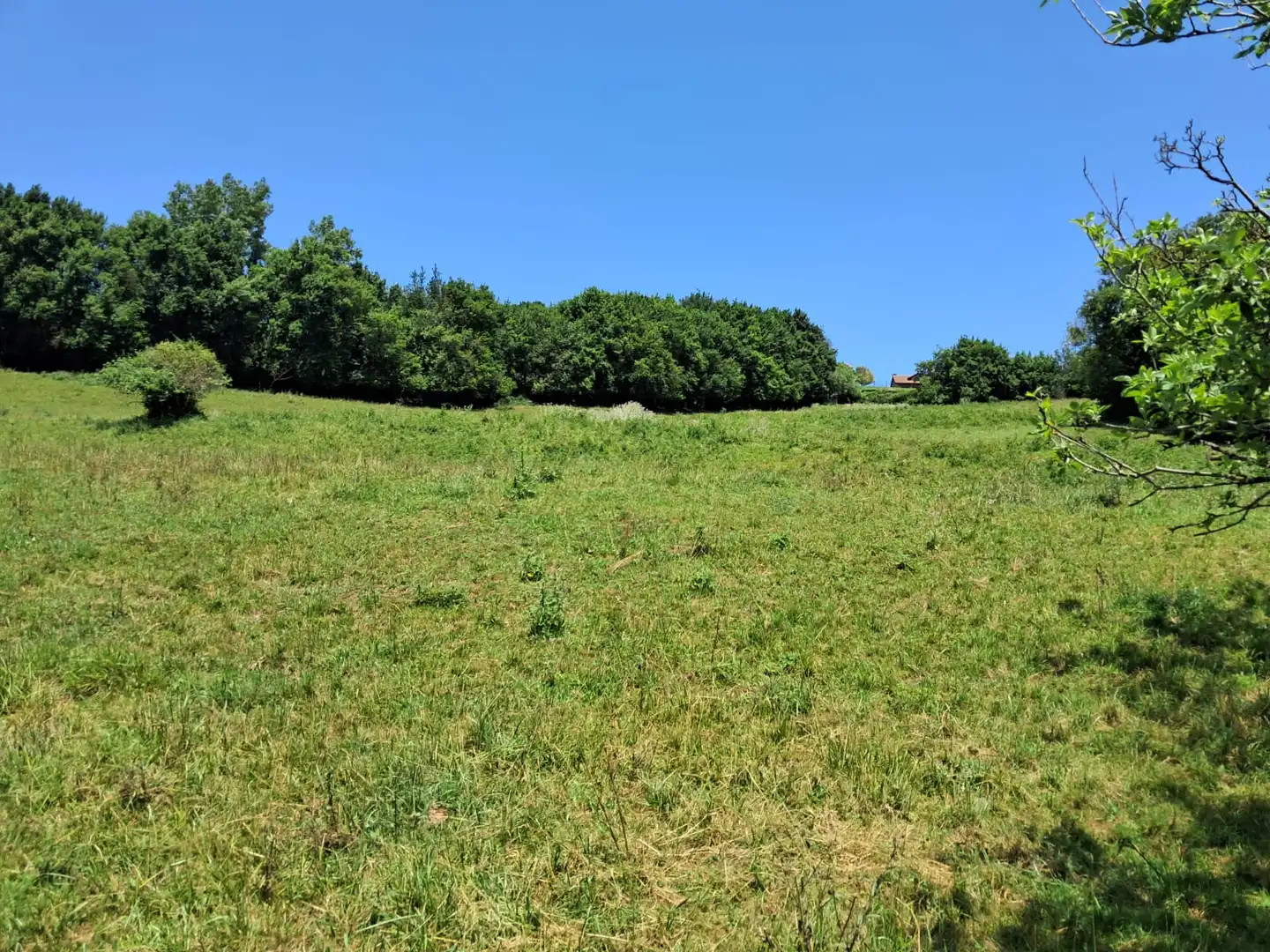 Residential for sale in Carreño