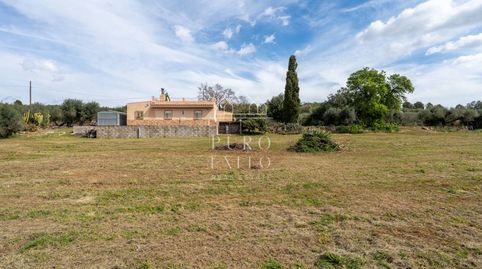 Finca rústica en Riudoms  Naturaleza, privacidad y vida tranquila