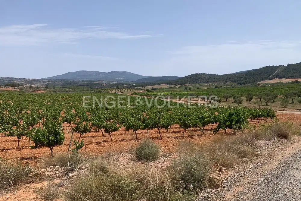 Lands and plots for sale in Requena, imagen 49