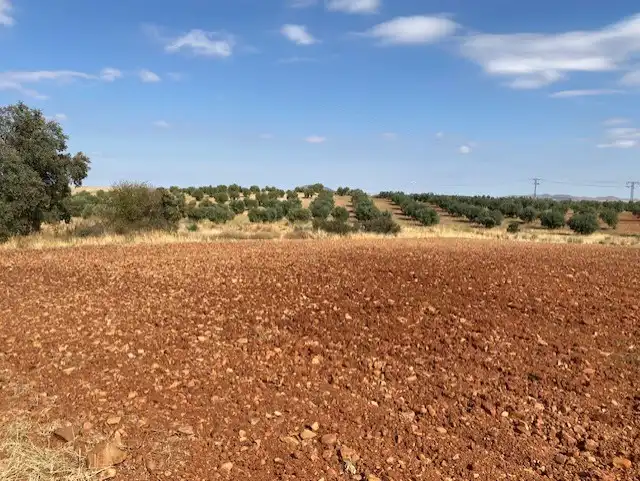 Terreny rústic en venda a Sonseca, imagen 2