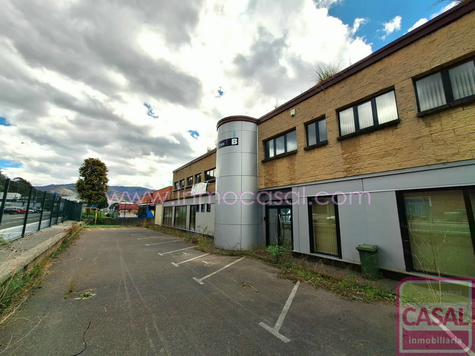 Exterior view of Industrial buildings for sale in Mieres (Asturias)