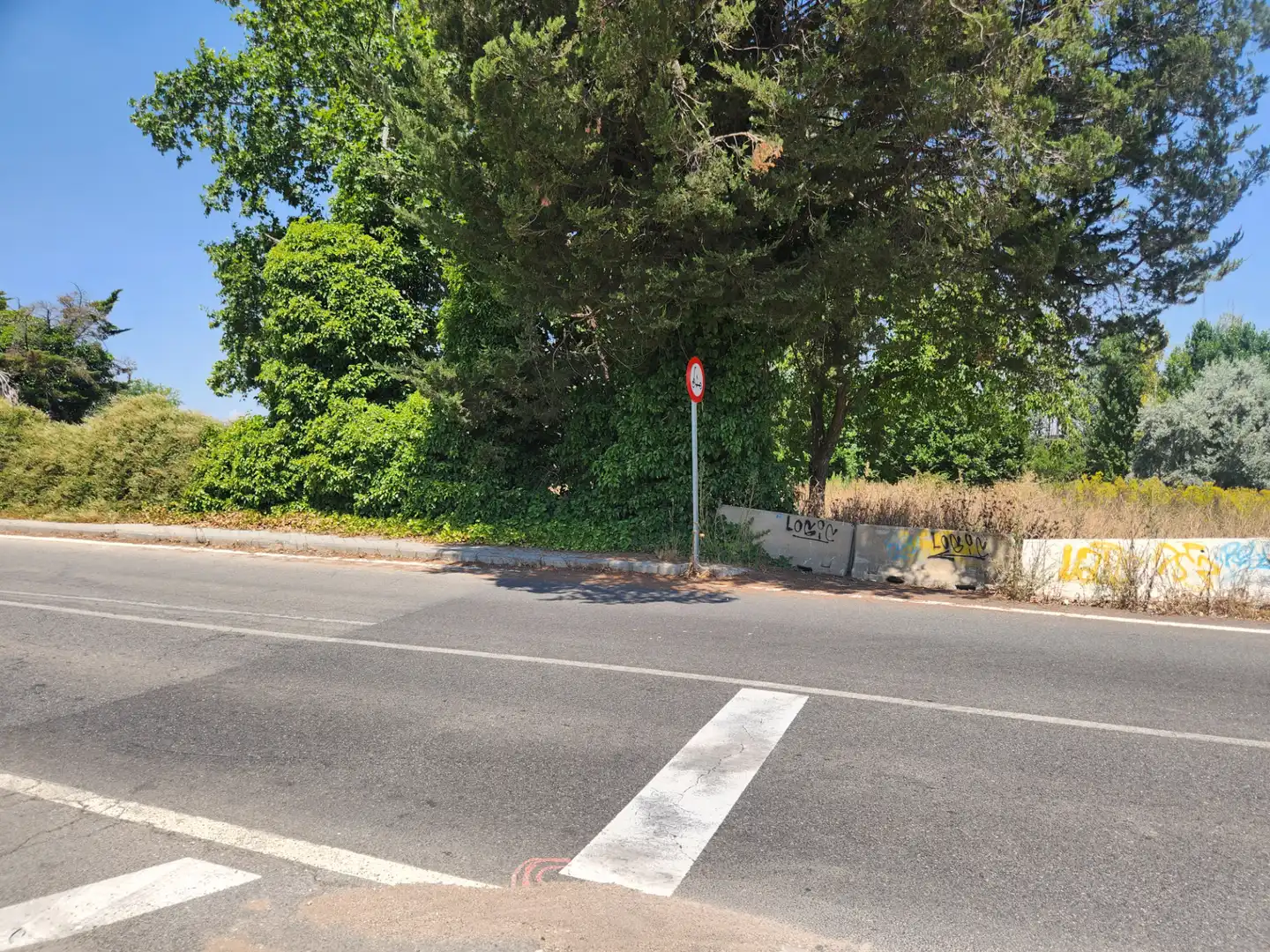 Terreno residenziale in vendita a Marchamalo, imagen 67